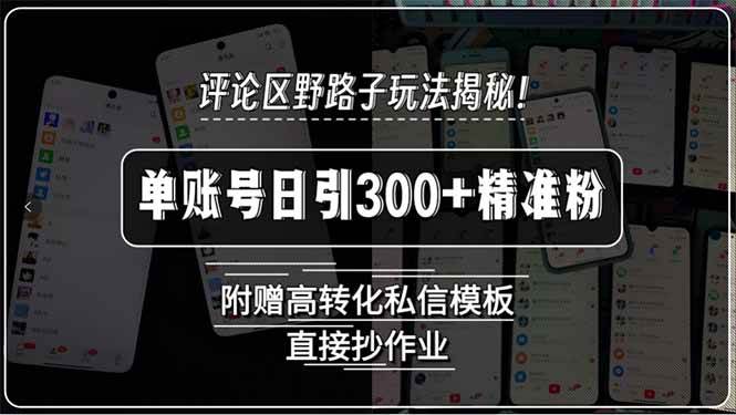 (15466期)评论区野路子玩法揭秘!单账号日引300+精准粉,附赠高转化私信模板,直…-Scorpio丨网创