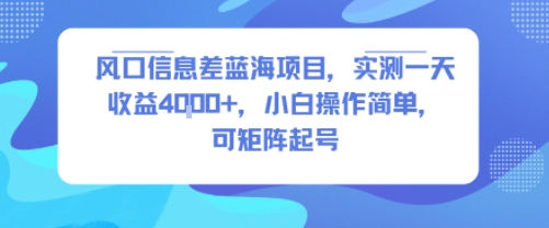 风口信息差蓝海项目，实测一天收益4k+，小白操作简单，可矩阵起号-Scorpio丨网创