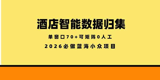 （18500期）酒店智能数据归集，小众蓝海已经稳定半年之久，单窗口70+零成本矩阵开干-Scorpio丨网创