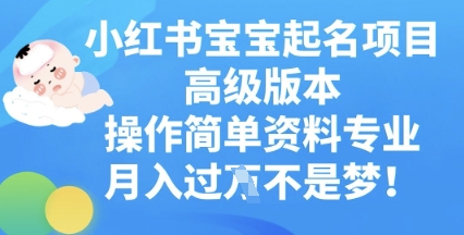 小红书宝宝起名项目高级版本，操作简单，资料专业，月入过W-Scorpio丨网创