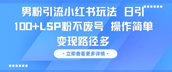 男粉引流小红书玩法，日引100+LSP粉不废号，操作简单，变现路径多-Scorpio丨网创