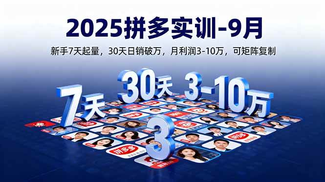 (16008期)2025拼多多实训-9月:新手7天起量,30天日销破万,月利润3-10万,可矩阵复制-Scorpio丨网创