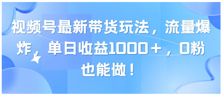 Scorpio丨网创