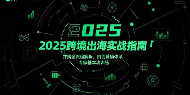 （15503期）2025跨境出海实战指南，并购全流程解析，自创营销体系，专家基本功训练-Scorpio丨网创