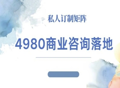 4980商业咨询师落地课程-ip运营高客单教程-Scorpio丨网创