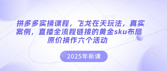 拼多多实操课程，飞龙在天玩法，真实案例，直播全流程链接的黄金sku布局原价操作六个活动-Scorpio丨网创