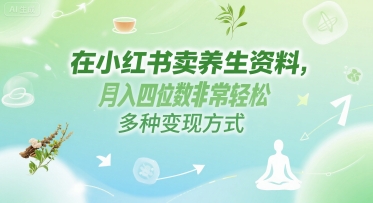 在小红书卖养生资料，月入四位数非常轻松，多种变现方式-Scorpio丨网创