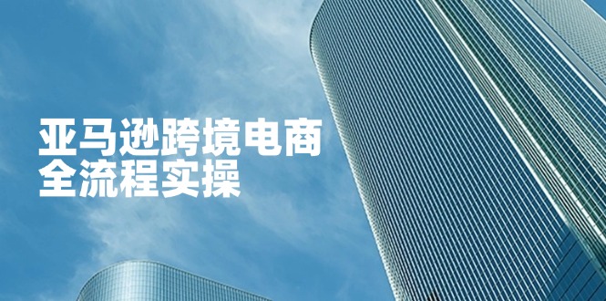 （14252期）亚马逊跨境电商全流程实操，教你从零开始，掌握店铺运营与广告技巧-Scorpio丨网创
