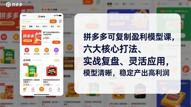 （16952期）拼多多可复制盈利模型课，六大核心打法、实战复盘、灵活应用，模型清晰，稳定产出高利润-Scorpio丨网创