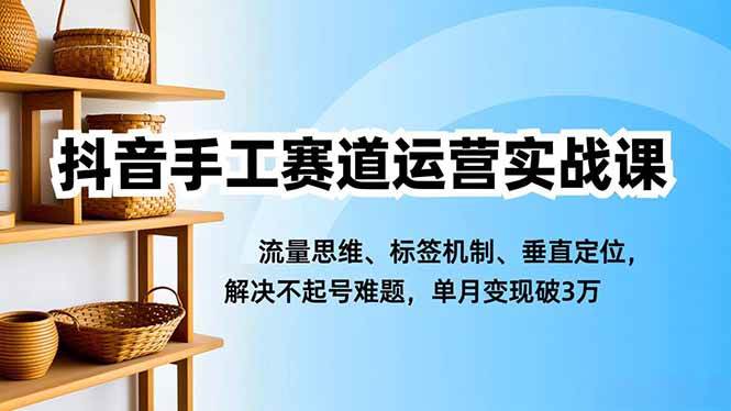 (16667期)抖音手工赛道运营实战课,流量思维、标签机制、垂直定位,解决不起号难题,单月变现破3万-Scorpio丨网创