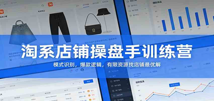 淘系店铺操盘手训练营：模式识别，爆款逻辑，有限资源找店铺最优解-Scorpio丨网创