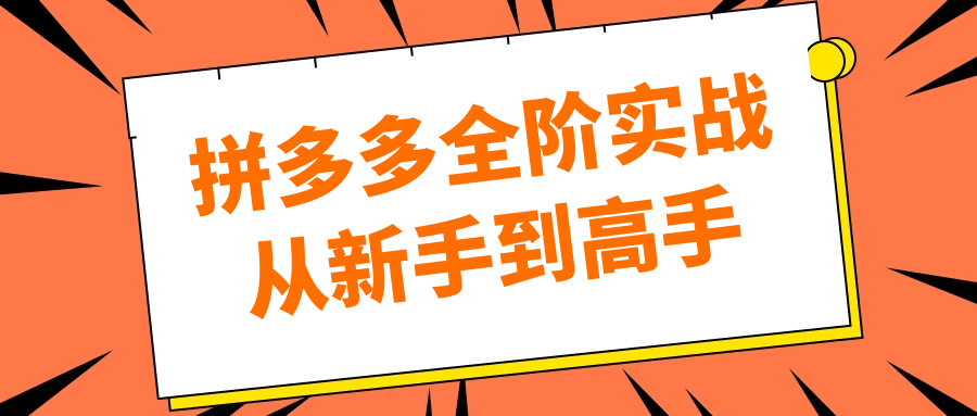 拼多多全阶实战从新手到高手-Scorpio丨网创