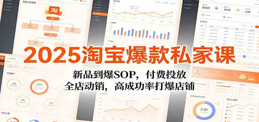 2025淘宝爆款私家课：新品到爆SOP，付费投放，全店动销，高成功率打爆店铺-Scorpio丨网创
