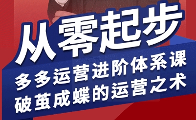 拼多多运营进阶系统课，从零起步，多多运营进阶体系课，破茧成蝶的运营之术（更新26年4月）-Scorpio丨网创