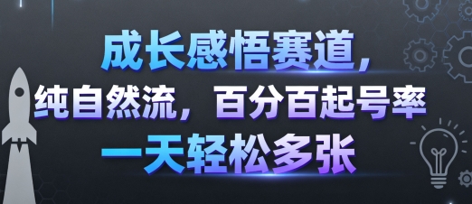 成长感悟赛道，纯自然流，百分百起号率 一天轻松多张-Scorpio丨网创
