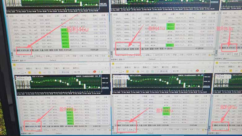 2025超前美金自动量化!单人单日收益1000+,线下学习,支持实地考察-Scorpio丨网创