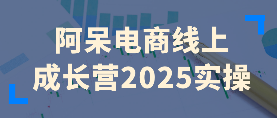 阿呆电商线上成长营2025实操-Scorpio丨网创
