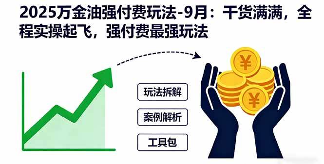 （16202期）2025万金油强付费玩法-9月：干货满满，全程实操起飞，强付费最强玩法-Scorpio丨网创