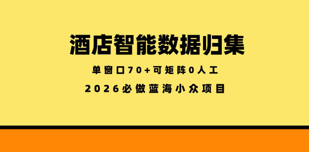 酒店智能数据归集，小众蓝海已经稳定半年之久，单窗口70+零成本矩阵开干【揭秘】-Scorpio丨网创
