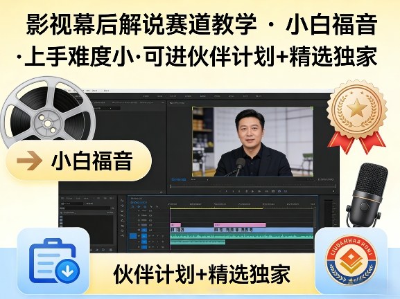 某大佬的影视幕后解说赛道教学，小白福音，上手难度小，可进伙伴计划+精选独家-Scorpio丨网创