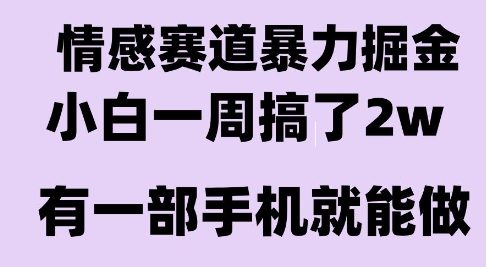 情感暴力掘金项目，新人操作一周挣了2W，长期稳定小白可做【揭秘】-Scorpio丨网创