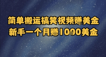 简单搬运搞笑视频挣美金，新手一个月入1k美金-Scorpio丨网创