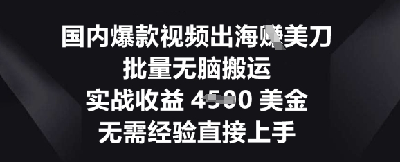 国内爆款视频出海挣美刀，批量无脑搬运，实战收益4.5k，无需经验直接上手-Scorpio丨网创