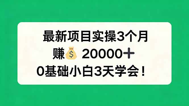 （17856期）最新项目实操3个月，赚钱20000+，0基础小白3天学会！-Scorpio丨网创