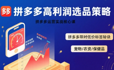 拼多多选品暴利技术实战课,拼多多高利润选品策略,拼多多限时低价标签秘诀-Scorpio丨网创