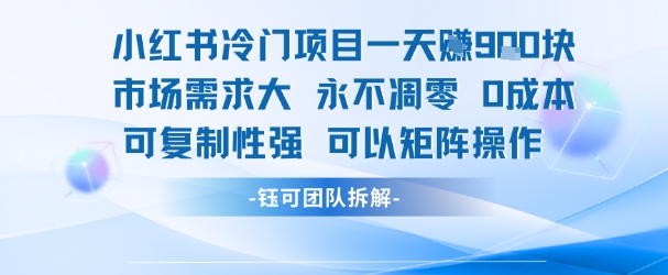 小红书冷门项目一天收益9张，市场需求大，0成本，可复制性强可以矩阵操作-Scorpio丨网创
