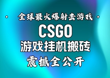 【年底大揭秘】基于全球最火爆的射击CSGO游戏挂G搬砖,日入5张+,震撼公开-Scorpio丨网创