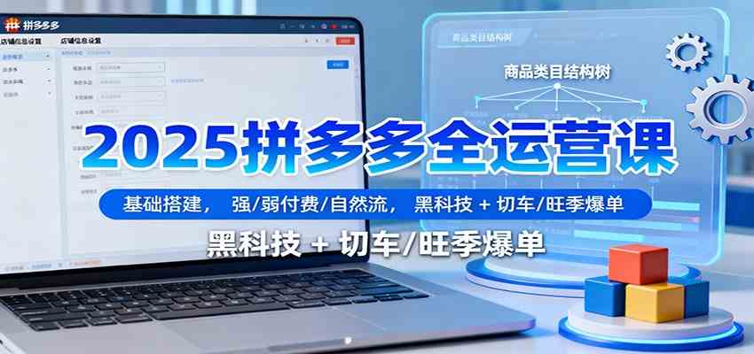 2025拼多多全运营课:基础搭建,强/弱付费/自然流,黑科技 + 切车/旺季爆单-Scorpio丨网创