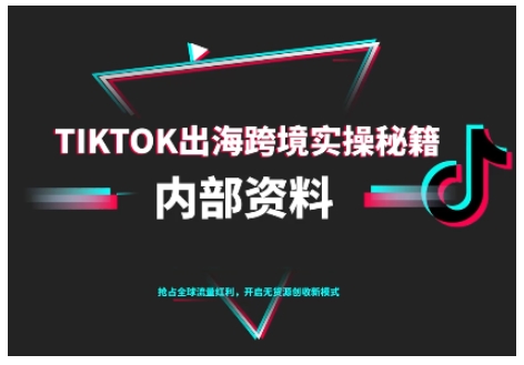 TikTok跨境电商0-1搭建运营，TK出海跨境实操秘籍（10月更新）-Scorpio丨网创