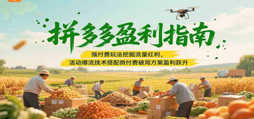 拼多多盈利指南:强付费玩法挖掘流量红利,活动爆流技术搭配微付费方案实现盈利跃升-Scorpio丨网创