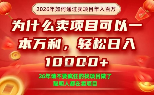一单净利润1K+，26年想年入100个W，死磕卖项目就够了【揭秘】-Scorpio丨网创