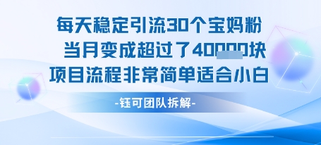 每天稳定引流30个人 当月变成超过了4个W项目流程非常简单适合小白-Scorpio丨网创
