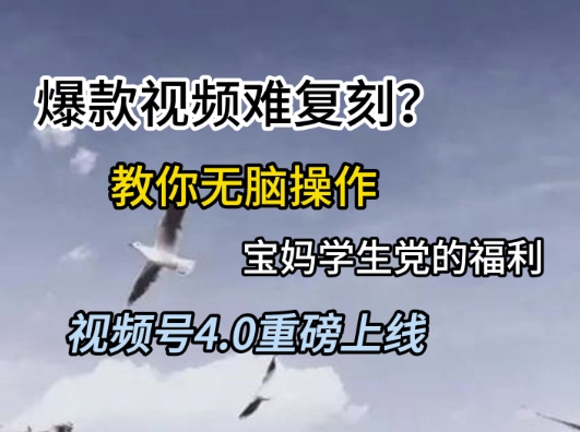 视频号4.0重磅上线,爆款视频难复刻?教你无脑操作宝妈学生党的福利【揭秘】-Scorpio丨网创