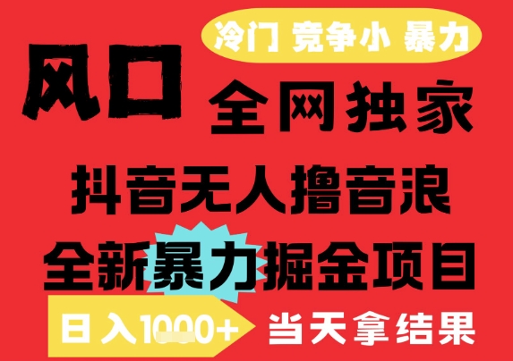 25年6月高爆抖音无人直播最新撸音浪掘金项目，解放双手小白可做，无脑日入1k+，门槛低【揭秘】-Scorpio丨网创