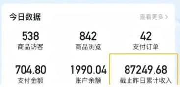2026新手也能操作的带货玩法，用这个方法零门槛，轻松月入10000+-Scorpio丨网创