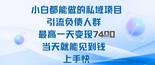 2025年小白都能做的私域项目引流负债人群最高一天变现1k+高变现难度低当天就能见到钱上手快-Scorpio丨网创