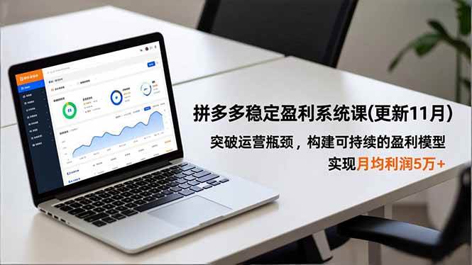(16641期)拼多多稳定盈利系统课(更新11月),突破运营瓶颈,构建可持续的盈利模型,实现月均利润5万+-Scorpio丨网创