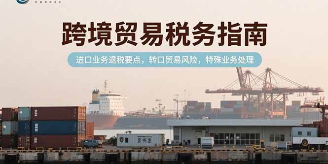 (15381期)跨境贸易税务指南,进口业务退税要点,转口贸易风险,特殊业务处理-Scorpio丨网创