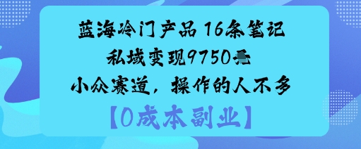 蓝海冷门产品:16条笔记私域变现9750米小众赛道,操作的人不多-Scorpio丨网创