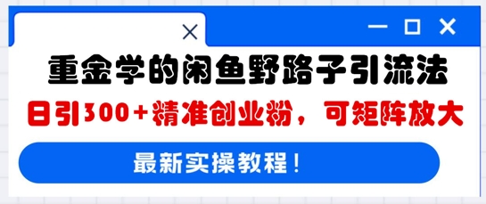 重金学的闲鱼野路子引流法，日引300+精准创业粉，可矩阵放大-Scorpio丨网创