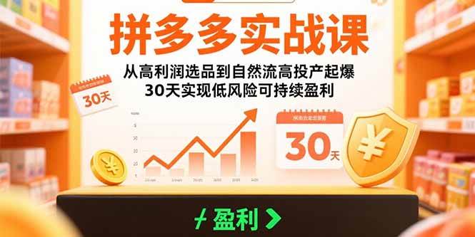 （15586期）拼多多实战课：从高利润选品到自然流高投产起爆 30天实现低风险可持续盈利-Scorpio丨网创