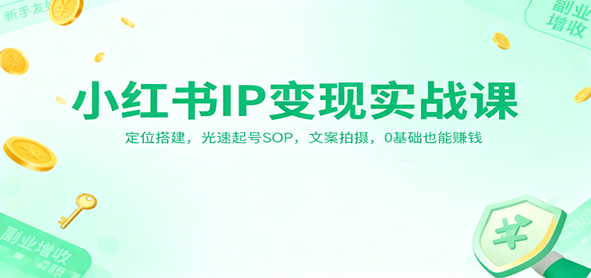 小红书IP变现实战课：定位搭建，光速起号SOP，文案拍摄，0基础也能赚钱-Scorpio丨网创