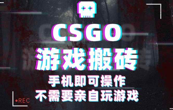 (16090期)CSGO游戏挂机捡漏,单日扫货500+,年底小高峰上车可吃肉,手机即可操作…-Scorpio丨网创