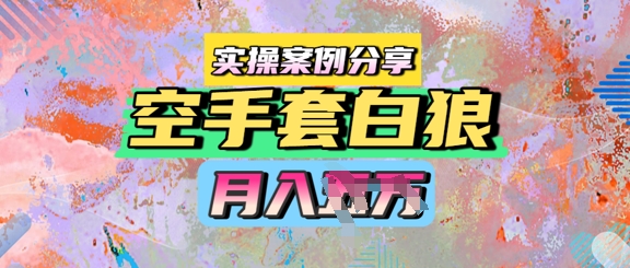 空手套白狼,月入过1W,实操案例分享-Scorpio丨网创