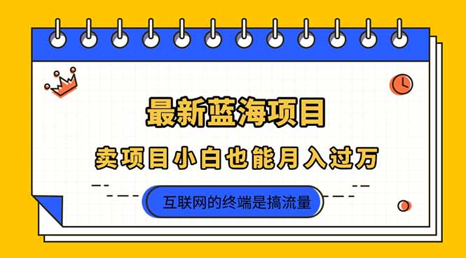 （14289期）2025年最新蓝海项目，卖项目小白也能月入过万-Scorpio丨网创