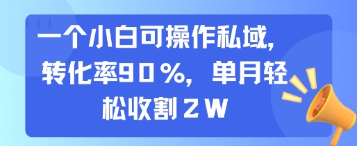 一个小白可操作私域,转化率90%,单月轻松收割2W